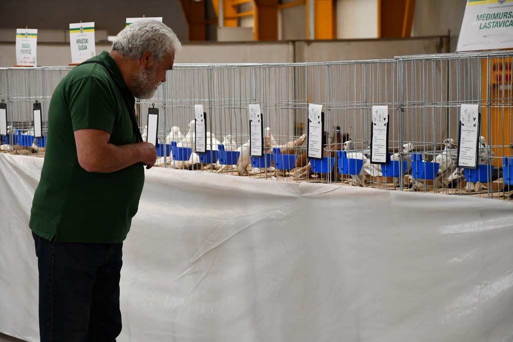 FOTO Izložba malih životinja privukla brojne izlagače, ali i posjetitelje