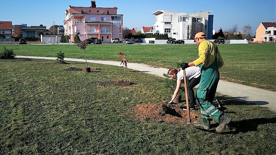 FOTO Velik broj građana subotnje prijepodne iskoristio za sadnju stabala u Čakovcu