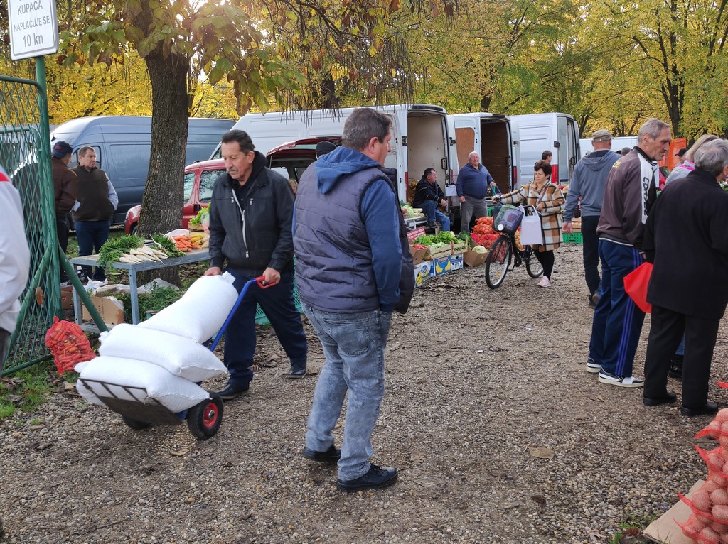 SAJAM SRIJEDOM Jeste li već probali meksički krastavac ili čajot?