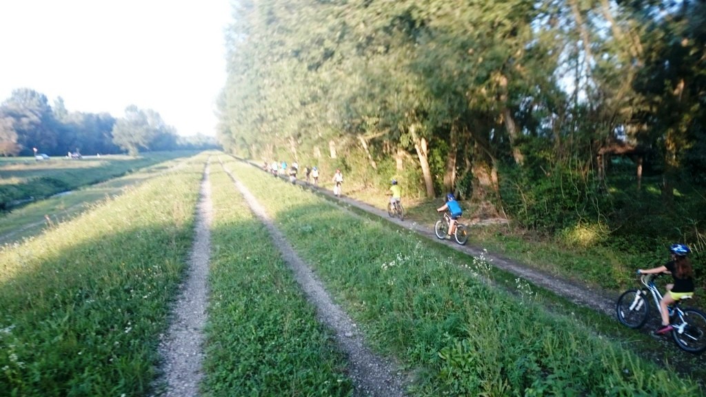 1195825710204900984713219775532