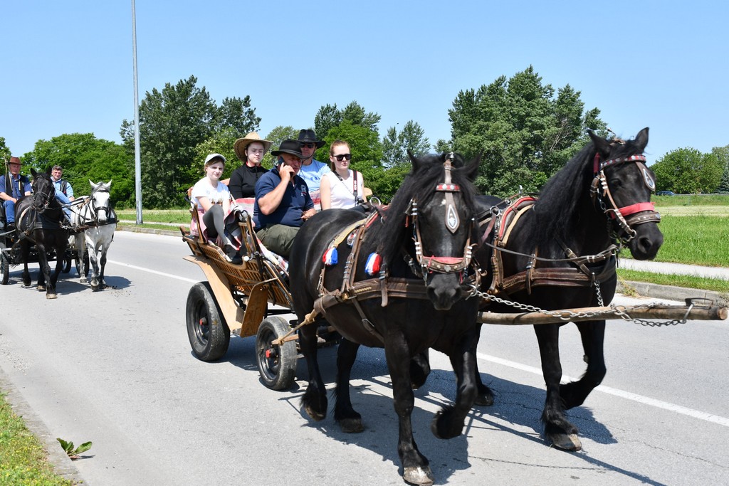 VIDEO I FOTO Međunarodno konjičko druženje okupilo brojne uzgajivače konja iz SZ Hrvatske te Slovenije i Austrije
