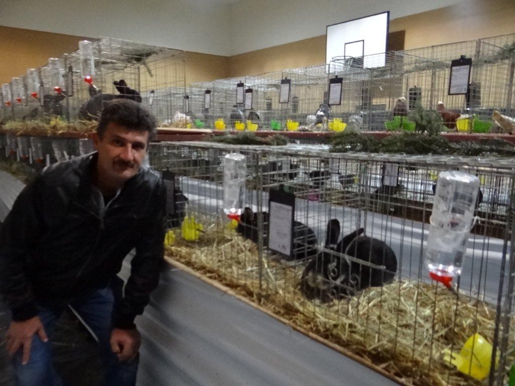 FOTO Održana izložba malih životinja u Kotoribi: Proglašeno čak 42 šampiona!