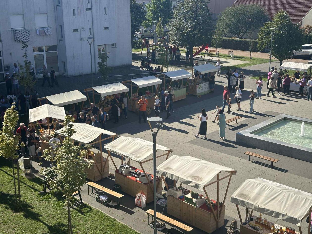 9d94b71b-e0cd-4c26-840d-3c0104e9a806