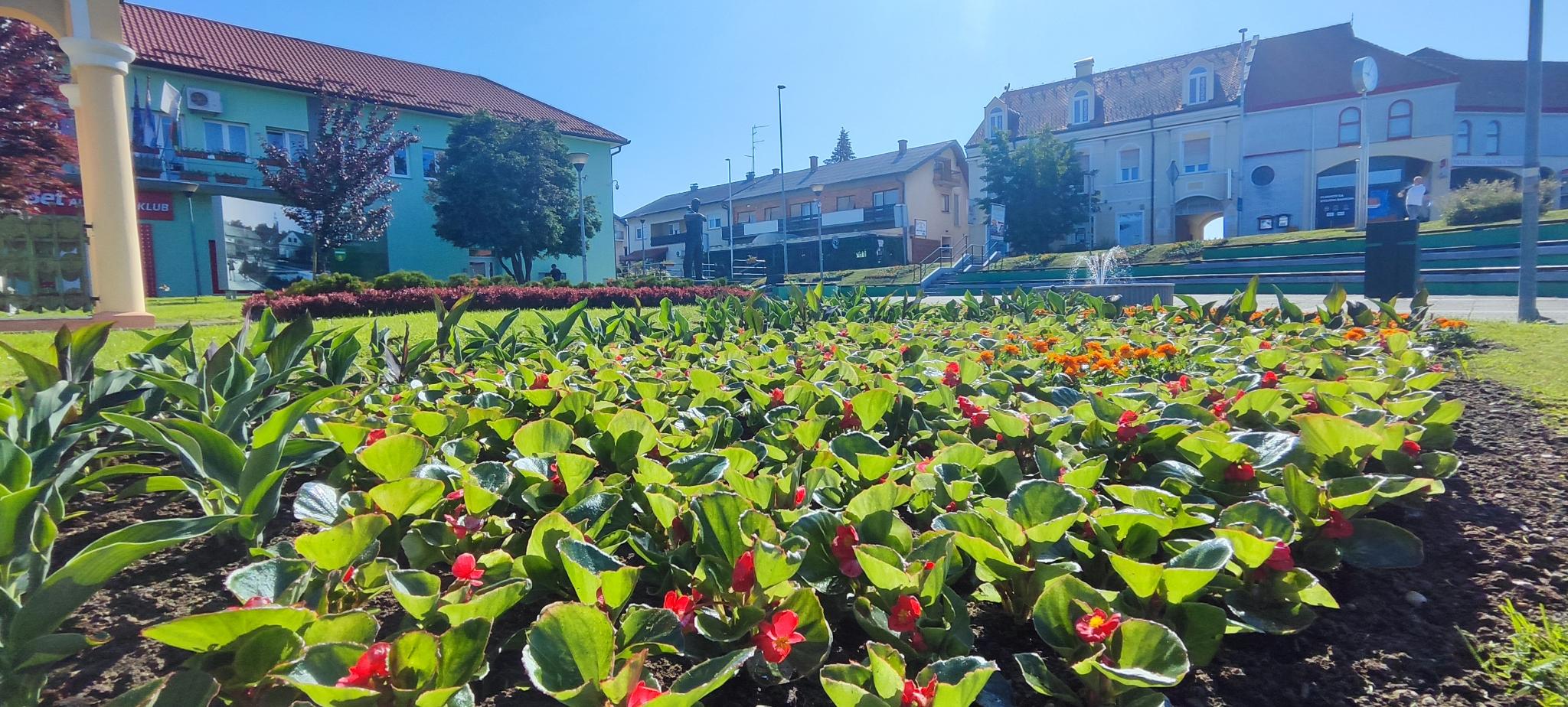 Mursko Središće okoliš