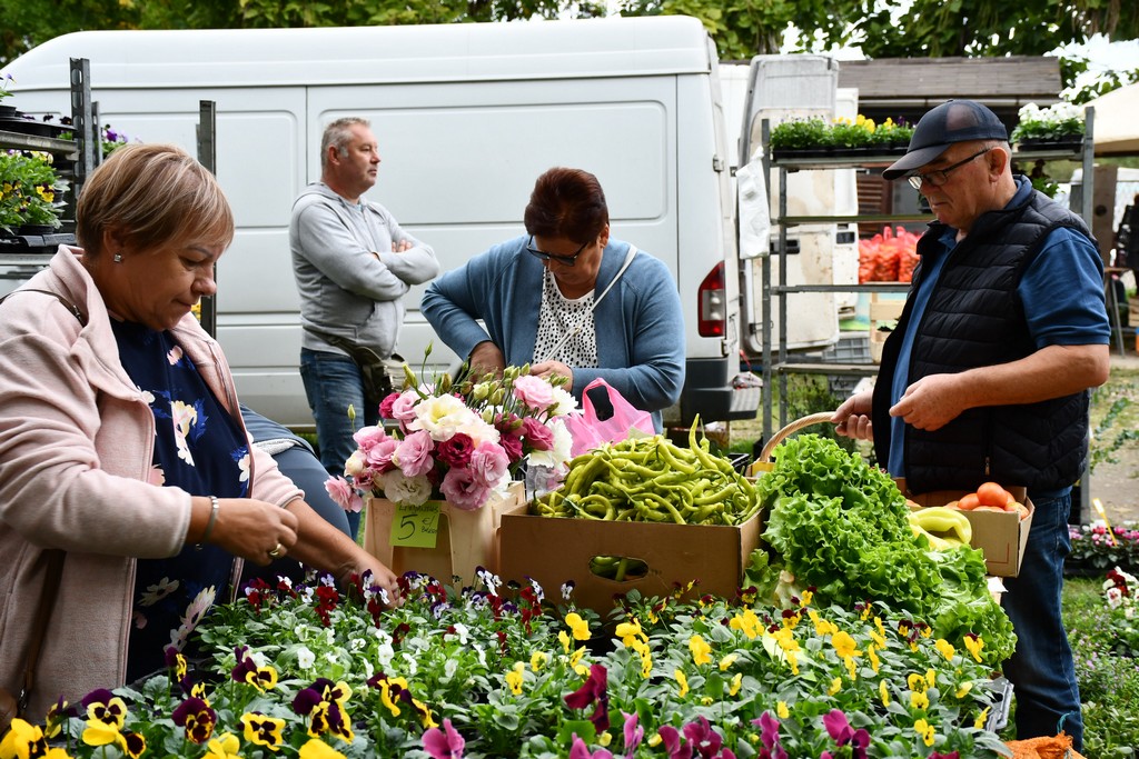 FOTO Kesteni i zelje pravi su hit na čakovečkom sajmu