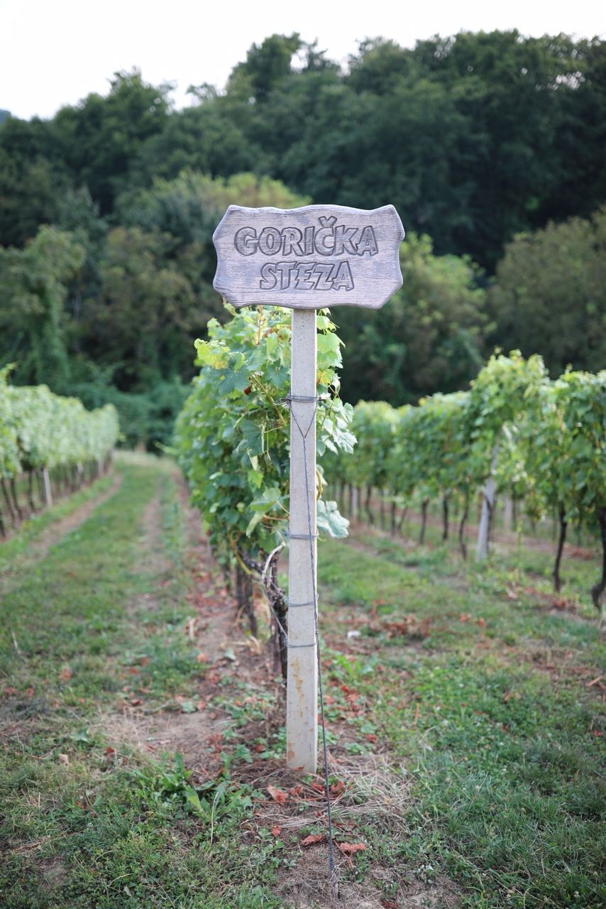 Drugi Gorički trail u organizaciji obitelji Hažić