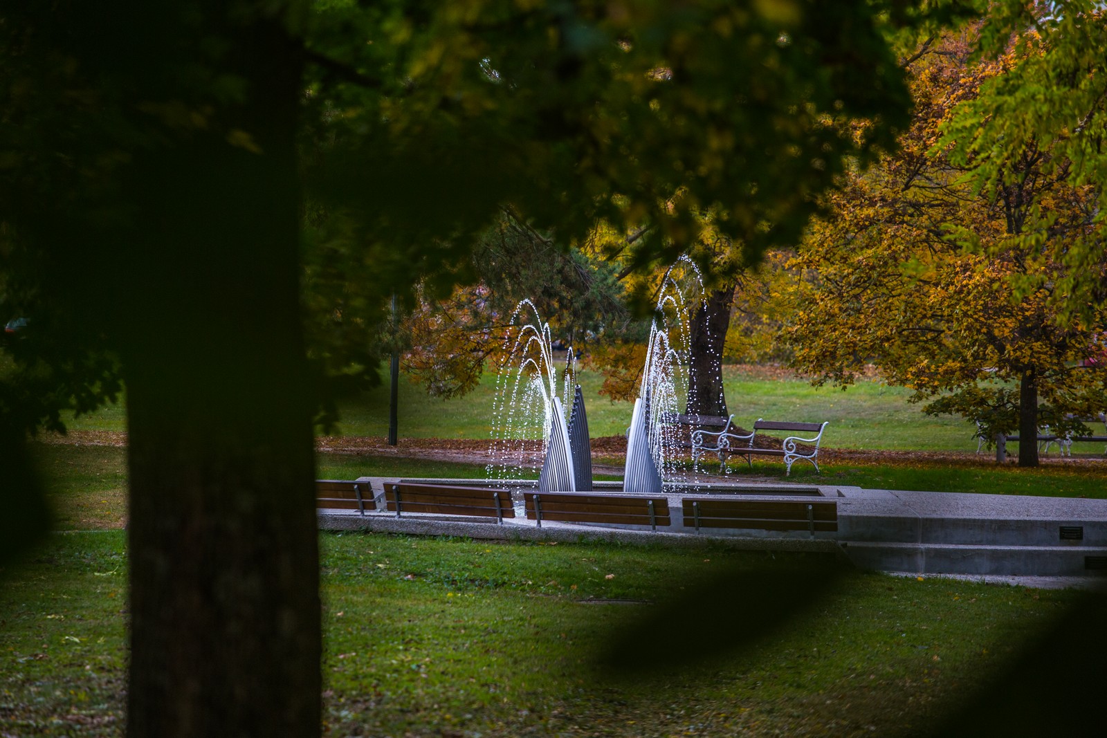 Čarobna jesen: Naša Miroslava Novak prošetala je čakovečkim parkom i snimila šarenilo jesenskih boja. Predivno, zar ne? (y) :-)