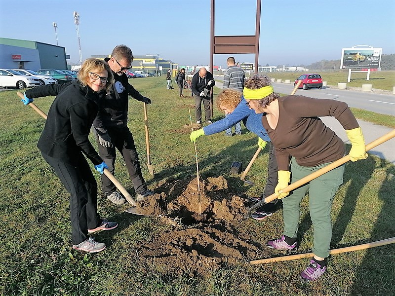 BRAVO, MEĐIMURCI U akciji sadnje drveća na širem čakovečkom području posađeno stotine novih stabala BRAVO, MEĐIMURCI U akciji sadnje drveća na širem čakovečkom području posađeno stotine novih stabala