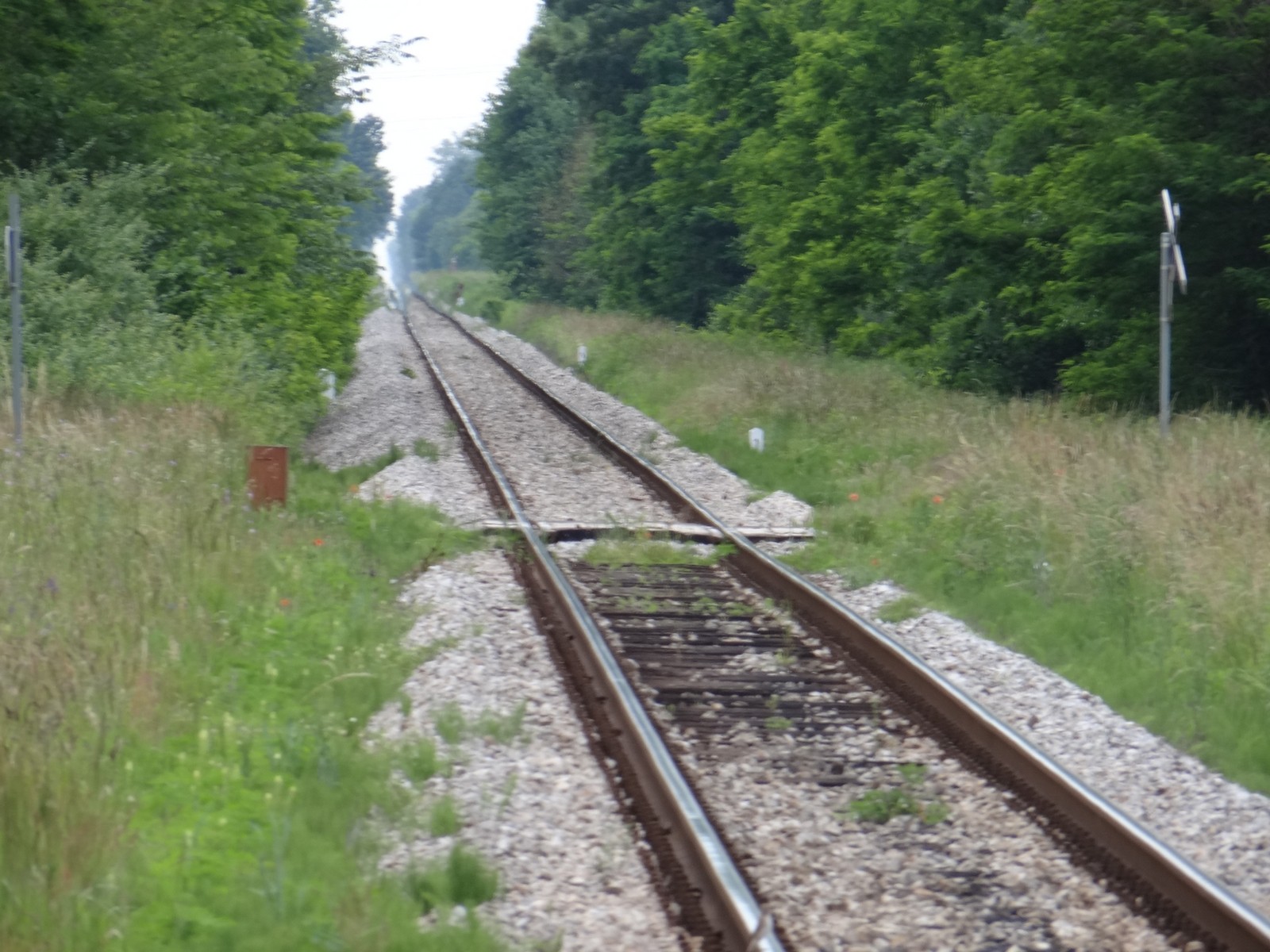 FOTO Željeznička postaja koja to nije: Vandalizam nad zapuštenom željezničkom postajom Donji Mihaljevec FOTO Željeznička postaja koja to nije: Vandalizam nad zapuštenom željezničkom postajom Donji Mihaljevec