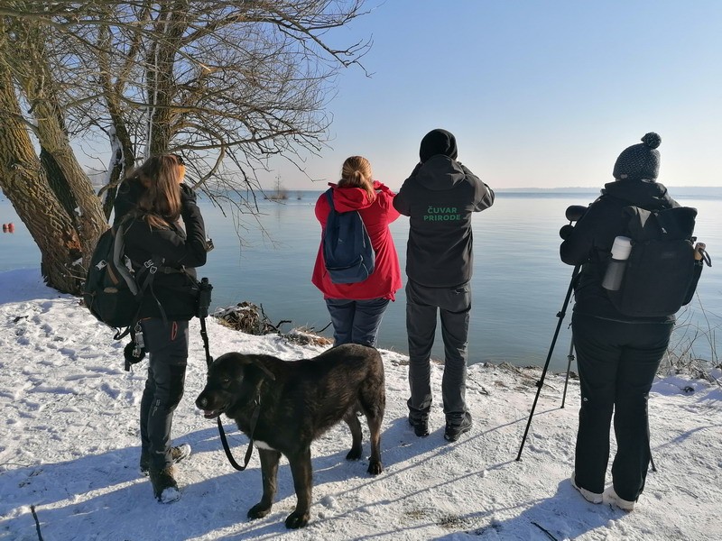 Ptičarenje Marina 2024