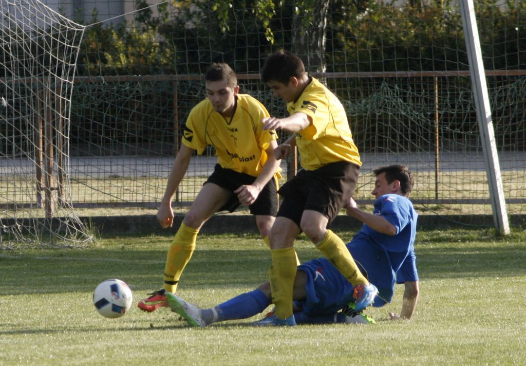 ebratstvobuducnost146858