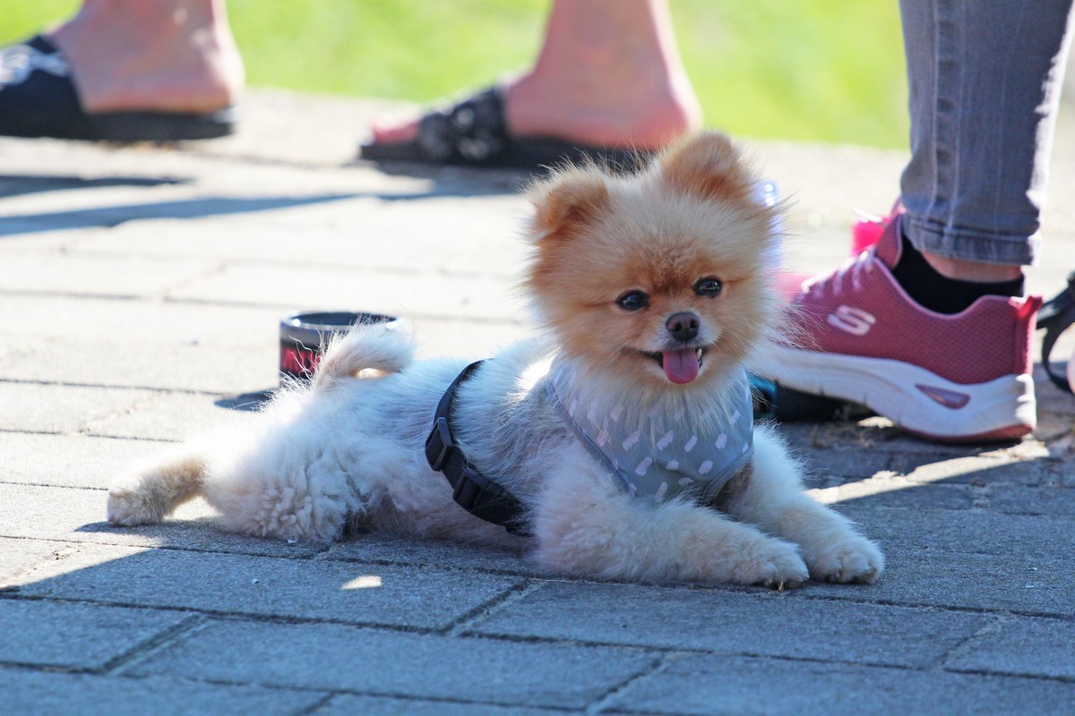 kLIKOM UZ MURU 17.9.2023