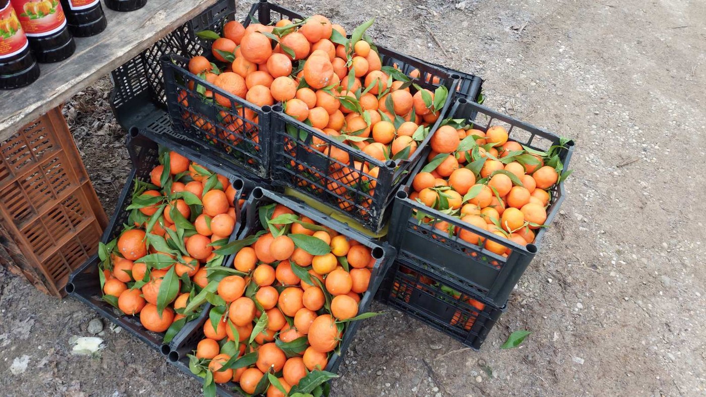 Čakovečki sajam 31.1.2024