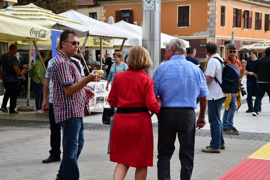 Forum seniora SDP-a obilježio Međunarodni dan starijih osoba