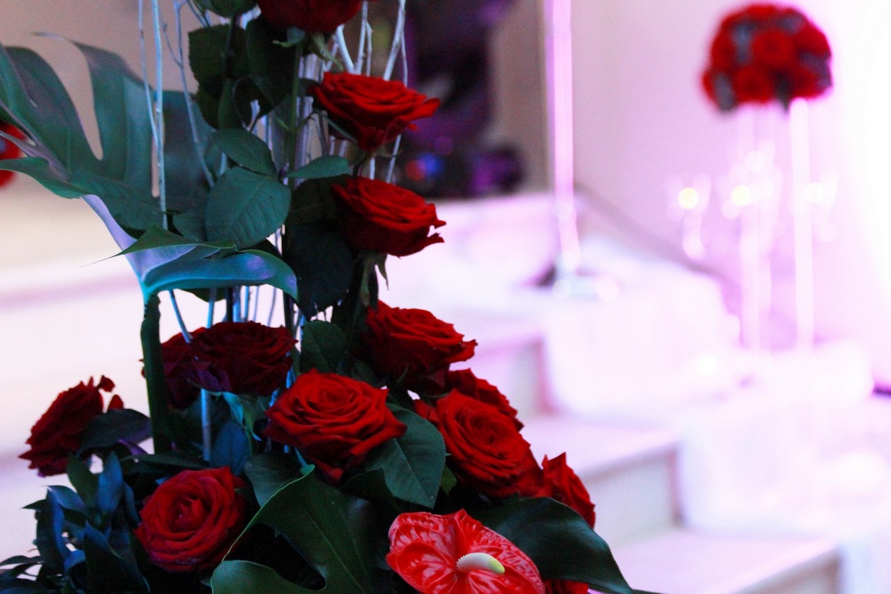 Otvorena najveća čakovečka turistička manifestacija