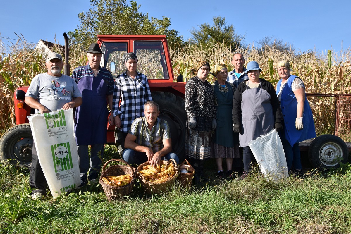 Branje kukuruza obitelj Fic, Dragoslavec Branje kukuruza obitelj Fic, Dragoslavec