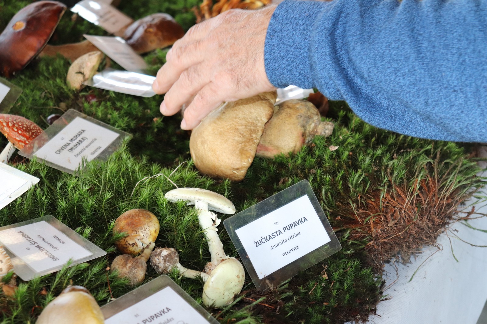 U Goričanu održana Gljivarijada