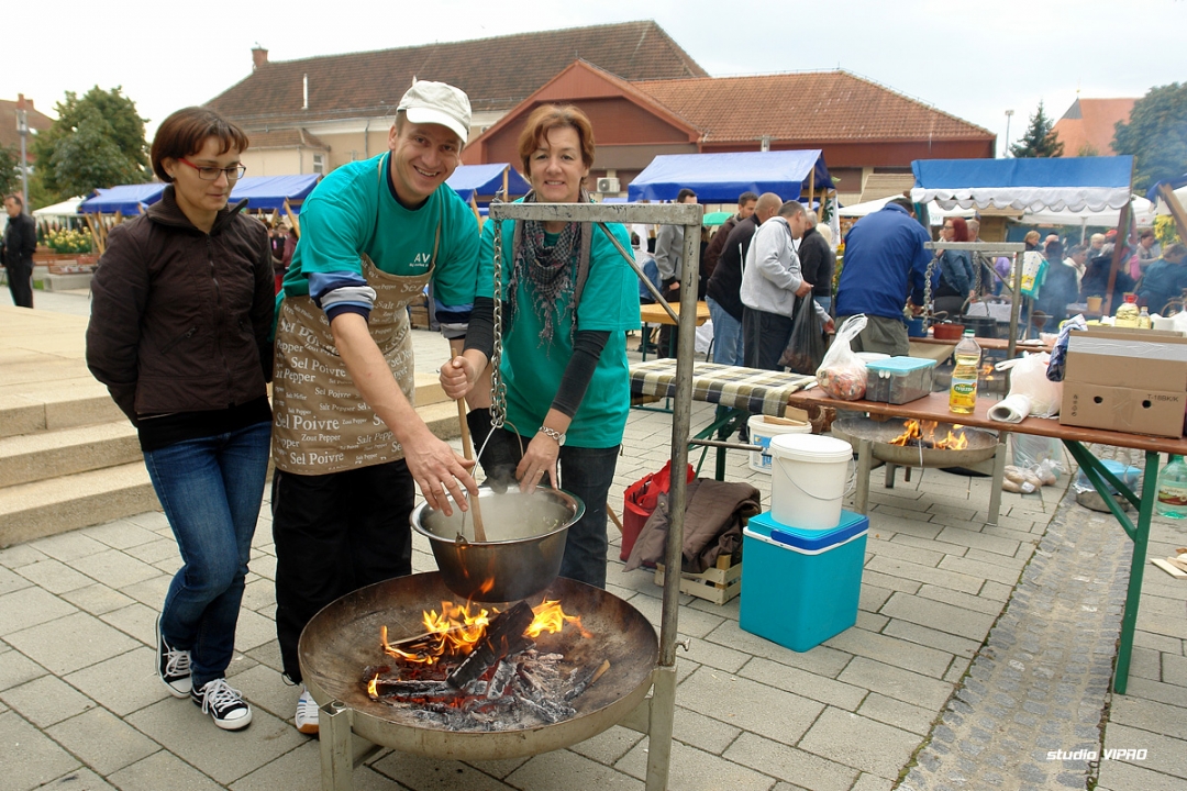 314913302dsc04063729917