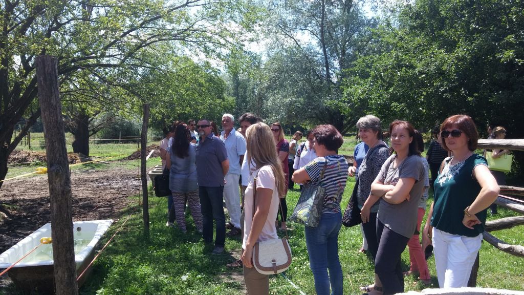 20170626130424608683