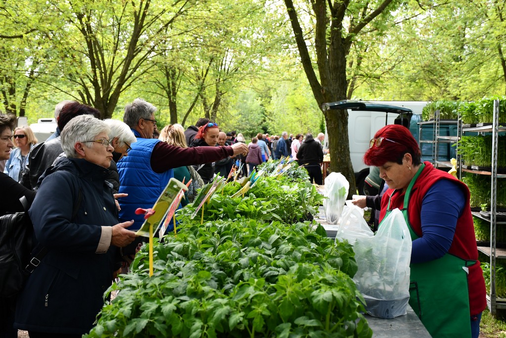 ČAKOVEČKI SAJAM SRIJEDOM Najveći interes i dalje vlada za presadnice