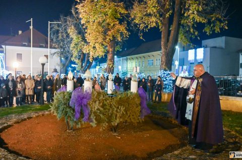 studio VIPRO studio VIPRO