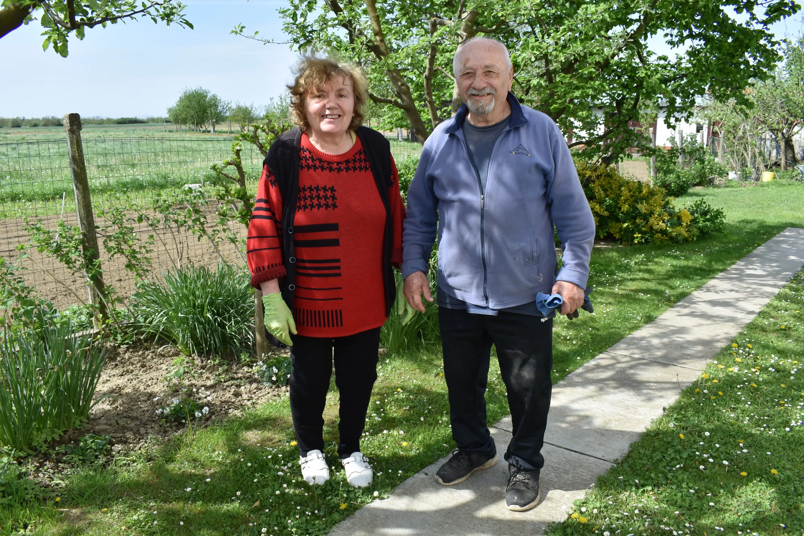 AHS DEKANOVSKI KIPAR (6)