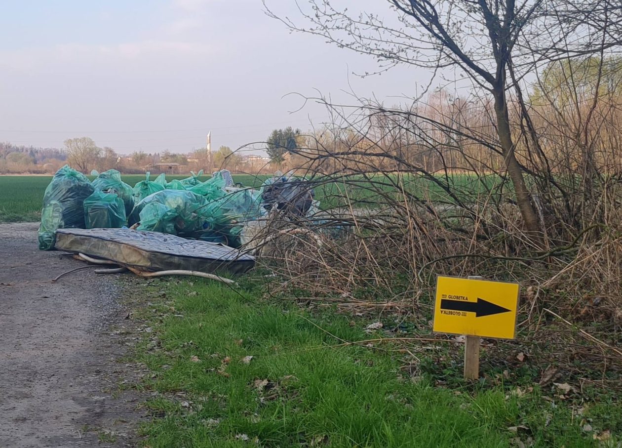 AK Međimurje zelena čistka (5) AK Međimurje zelena čistka (5)