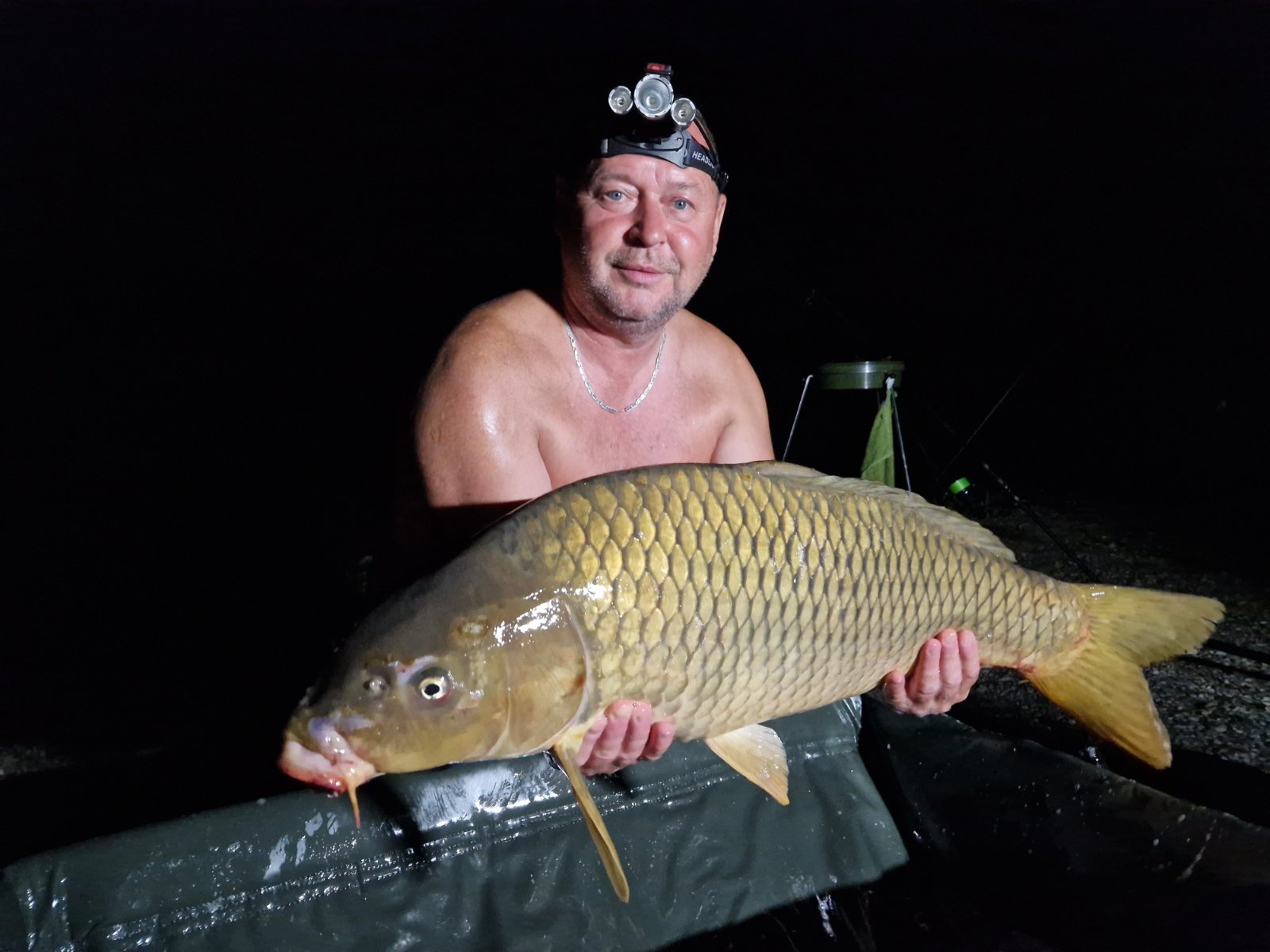 ALEN 7 alen novak ALEN 7 alen novak