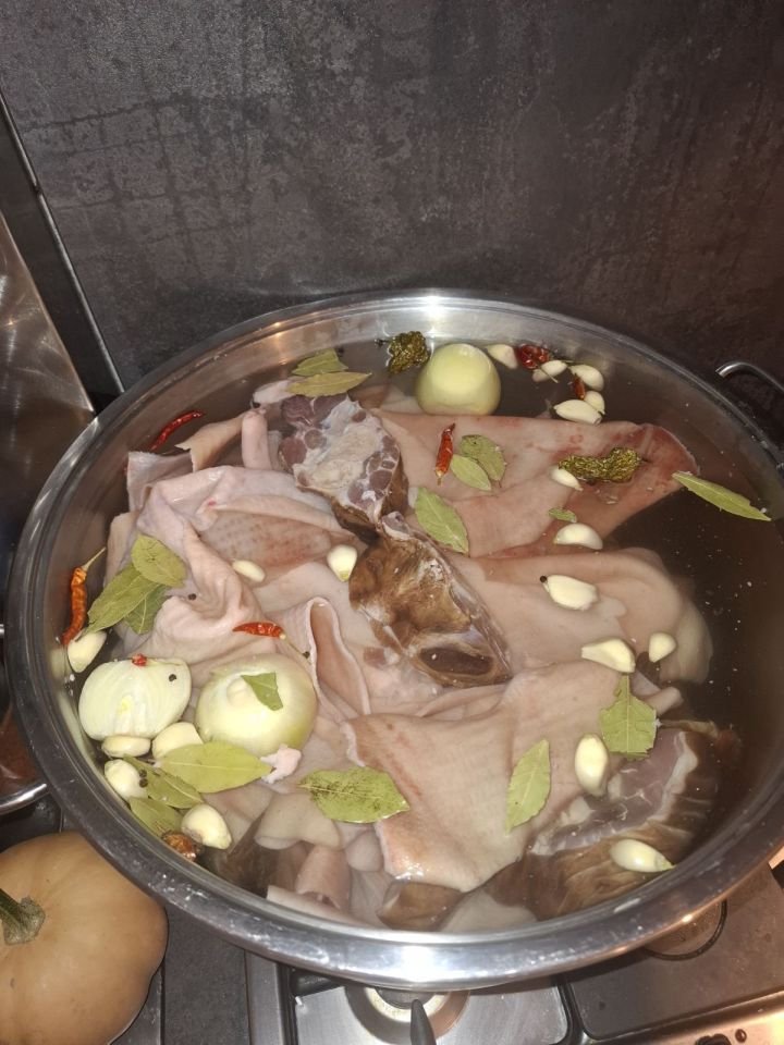 ANITA KOS IZ DOMAŠINCA Hladnetina – lijek za škripava koljena (1)