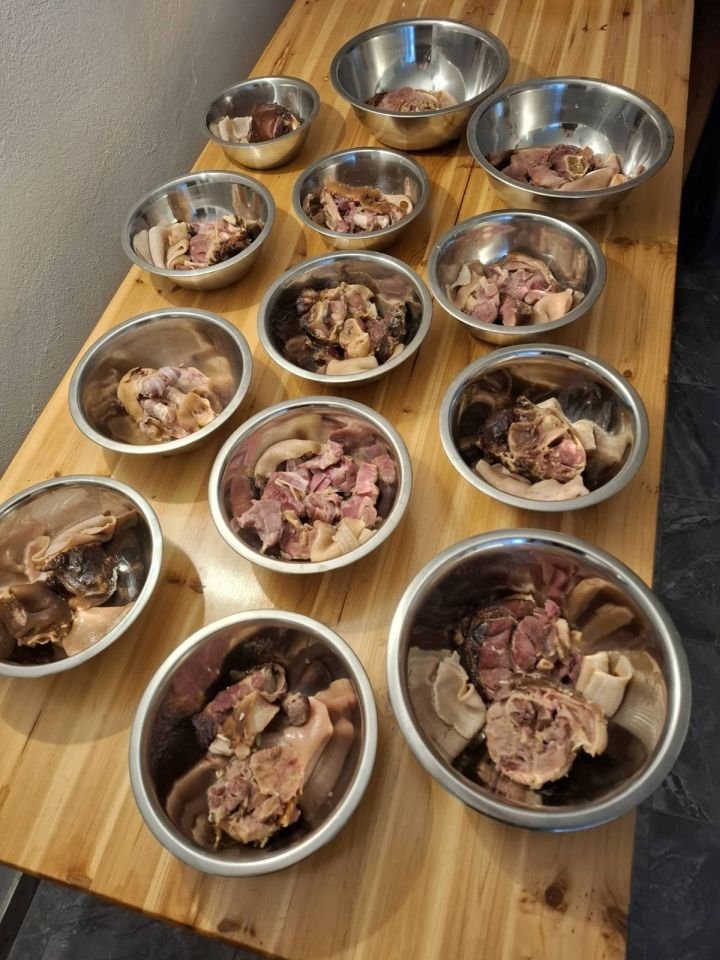 ANITA KOS IZ DOMAŠINCA Hladnetina – lijek za škripava koljena (3)