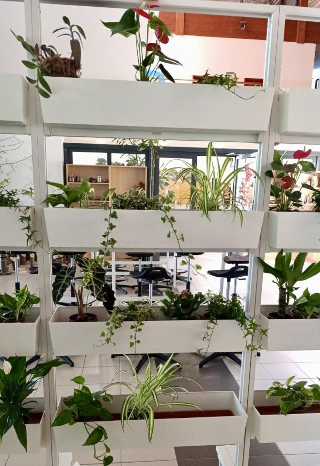 ARANŽERSKI KUTAK Učenici Gospodarske škole Čakovec uredili zeleni zid za Dan škole (7) ARANŽERSKI KUTAK Učenici Gospodarske škole Čakovec uredili zeleni zid za Dan škole (7)