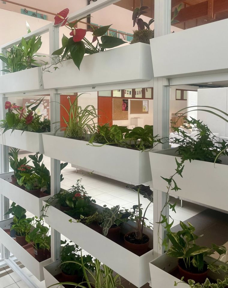 ARANŽERSKI KUTAK Učenici Gospodarske škole Čakovec uredili zeleni zid za Dan škole (8) ARANŽERSKI KUTAK Učenici Gospodarske škole Čakovec uredili zeleni zid za Dan škole (8)