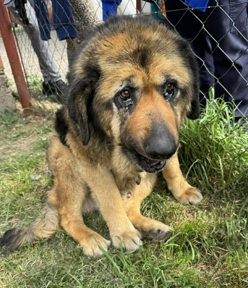 AZIL ČAKOVEC Tučnjava u Pribislavcu nije izbila zbog njihove akcije (11)