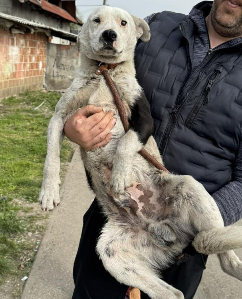 AZIL ČAKOVEC Tučnjava u Pribislavcu nije izbila zbog njihove akcije (20)