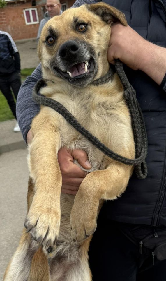 AZIL ČAKOVEC Tučnjava u Pribislavcu nije izbila zbog njihove akcije (21)