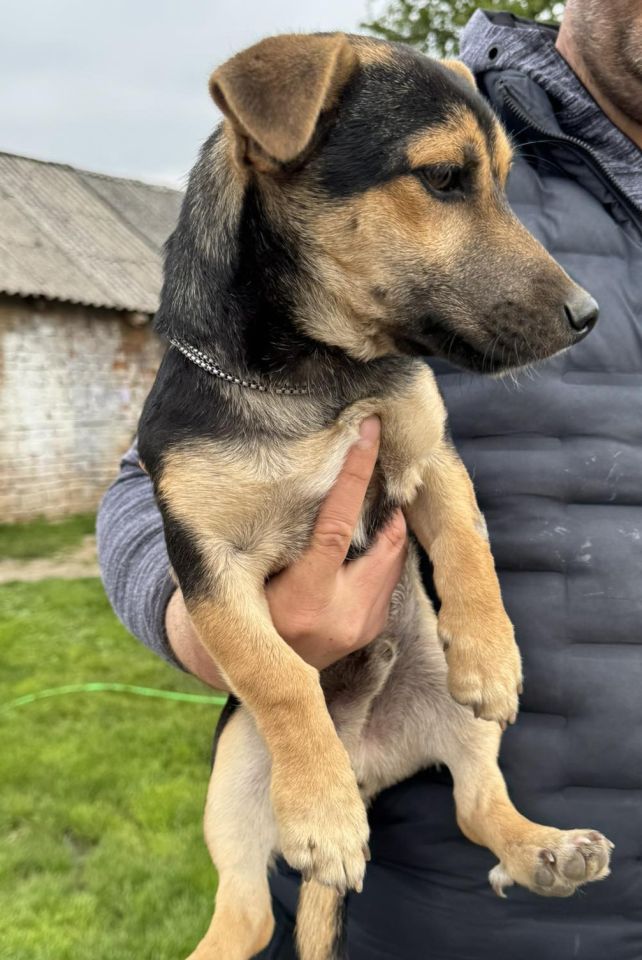 AZIL ČAKOVEC Tučnjava u Pribislavcu nije izbila zbog njihove akcije (22)