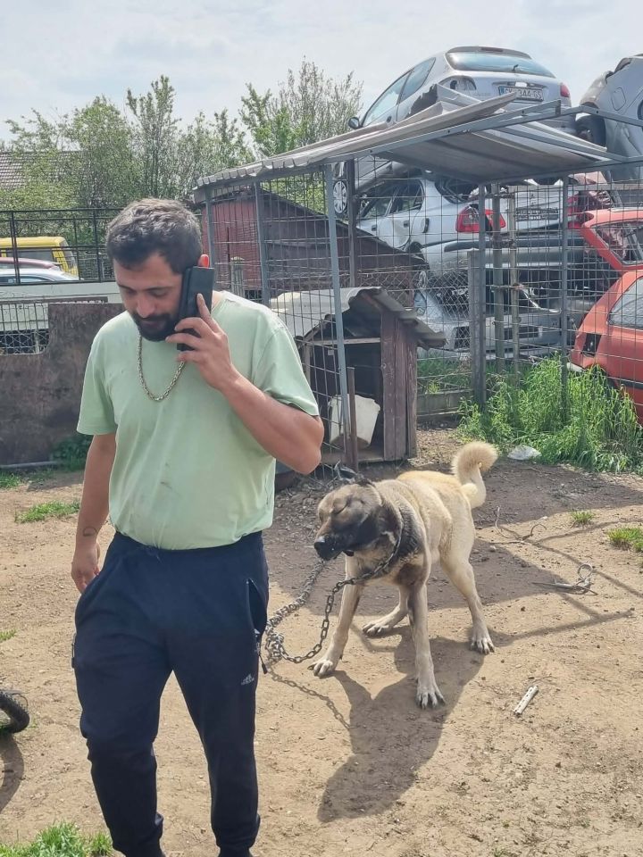 AZIL ČAKOVEC Tučnjava u Pribislavcu nije izbila zbog njihove akcije (23)