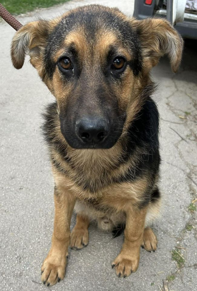 AZIL ČAKOVEC Tučnjava u Pribislavcu nije izbila zbog njihove akcije (4)