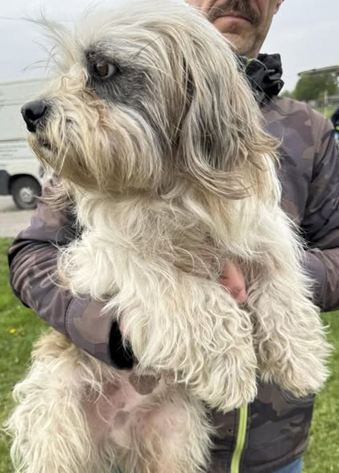 AZIL ČAKOVEC Tučnjava u Pribislavcu nije izbila zbog njihove akcije (5)