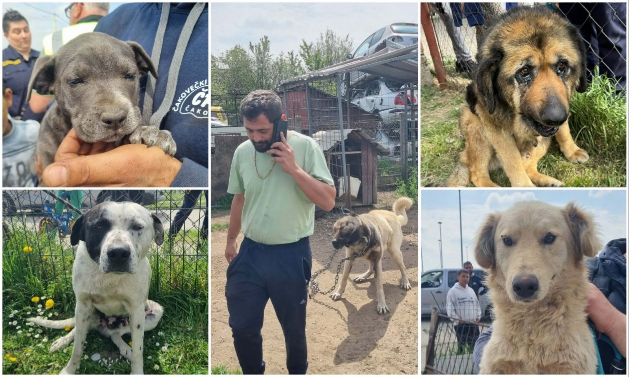 AZIL ČAKOVEC Tučnjava u Pribislavcu nije izbila zbog njihove akcije (6)