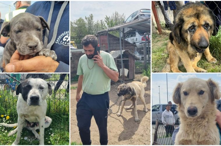 AZIL ČAKOVEC Tučnjava u Pribislavcu nije izbila zbog njihove akcije (6)