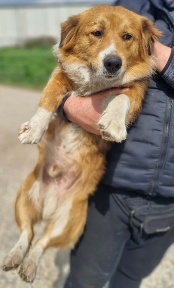 AZIL ČAKOVEC Tučnjava u Pribislavcu nije izbila zbog njihove akcije (7)