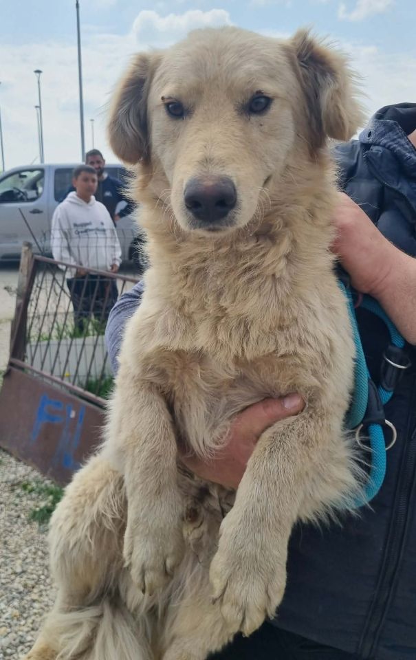 AZIL ČAKOVEC Tučnjava u Pribislavcu nije izbila zbog njihove akcije (8)