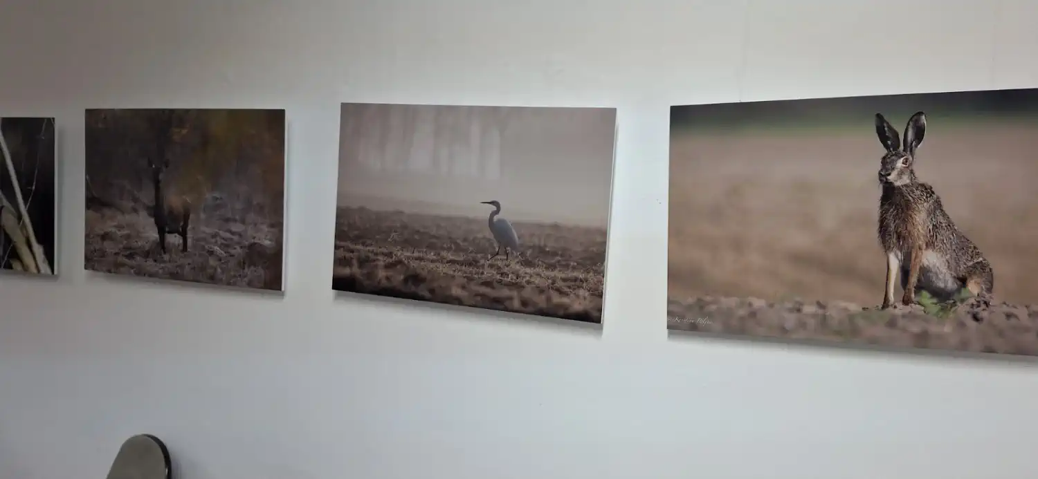 Advent Donja Dubrava 2024 (24) Advent Donja Dubrava 2024 (24)