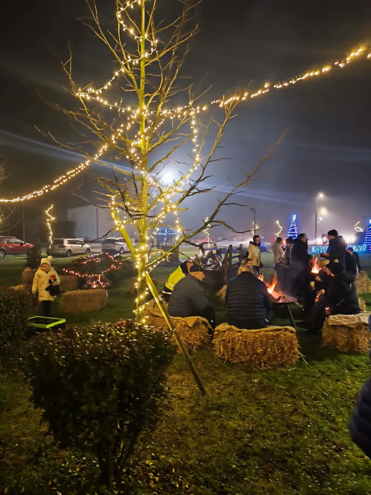 Advent Gardinovec (21)