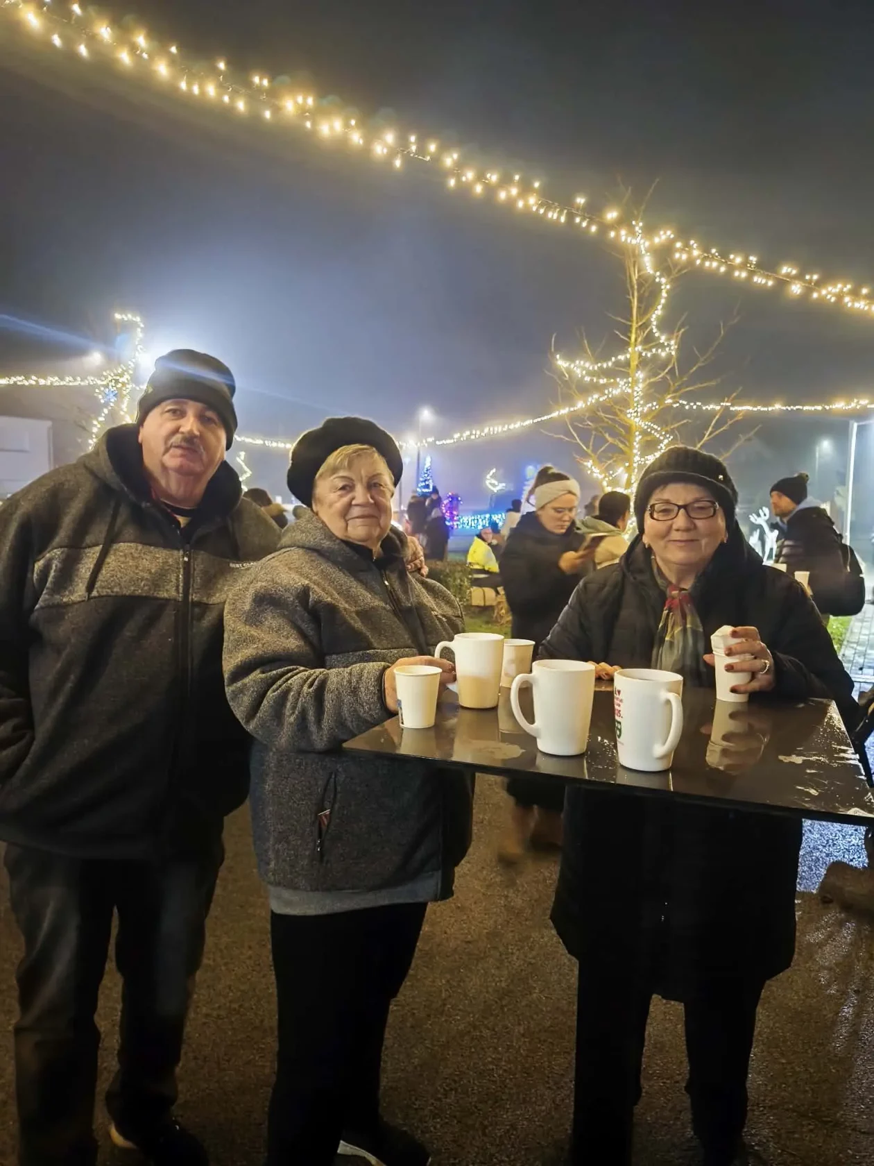 Advent Gardinovec (3)