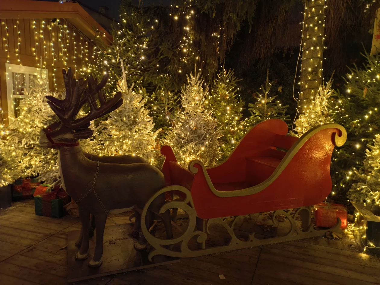 Advent Varaždin (29)