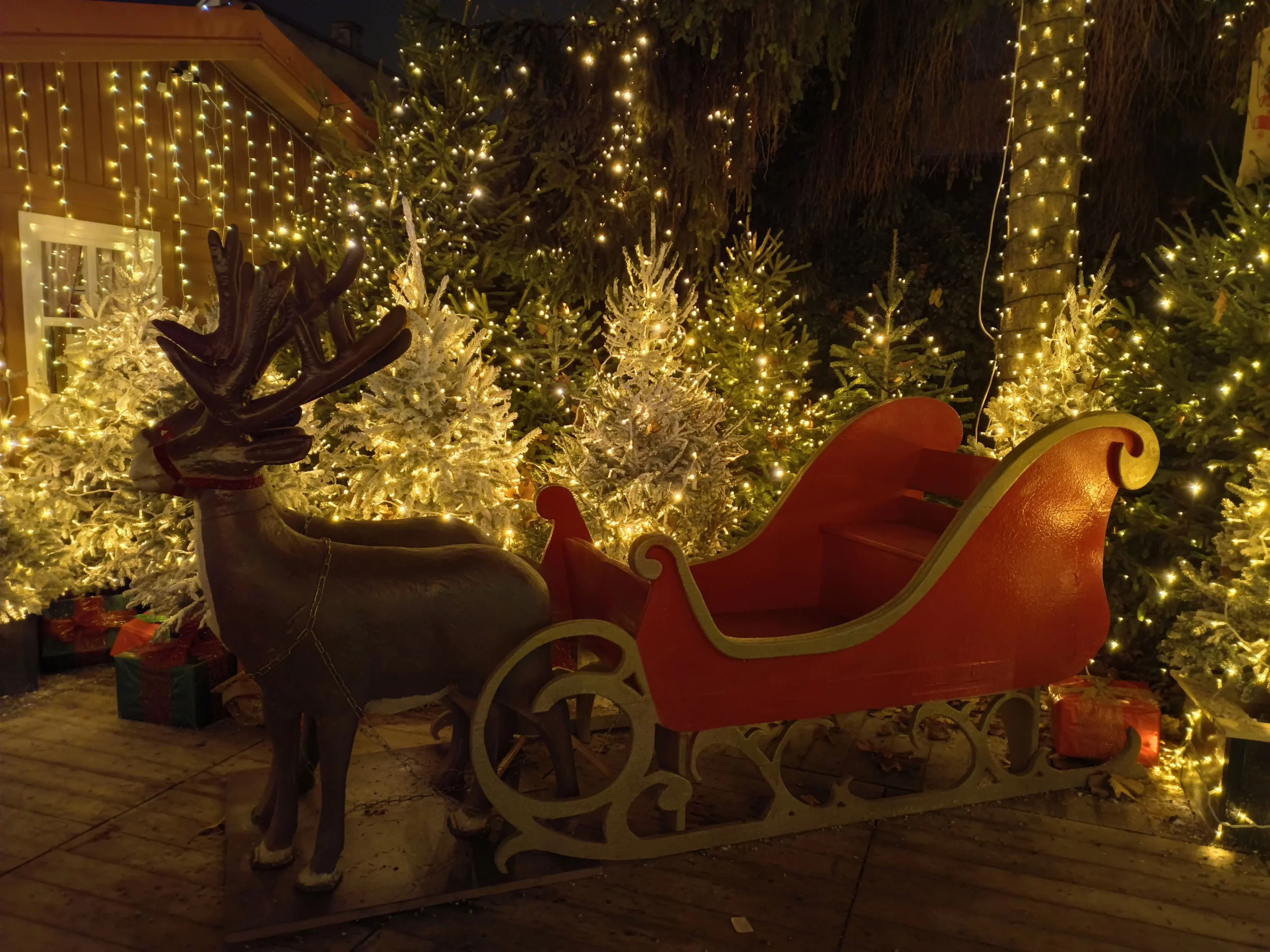 Advent Varaždin (29)