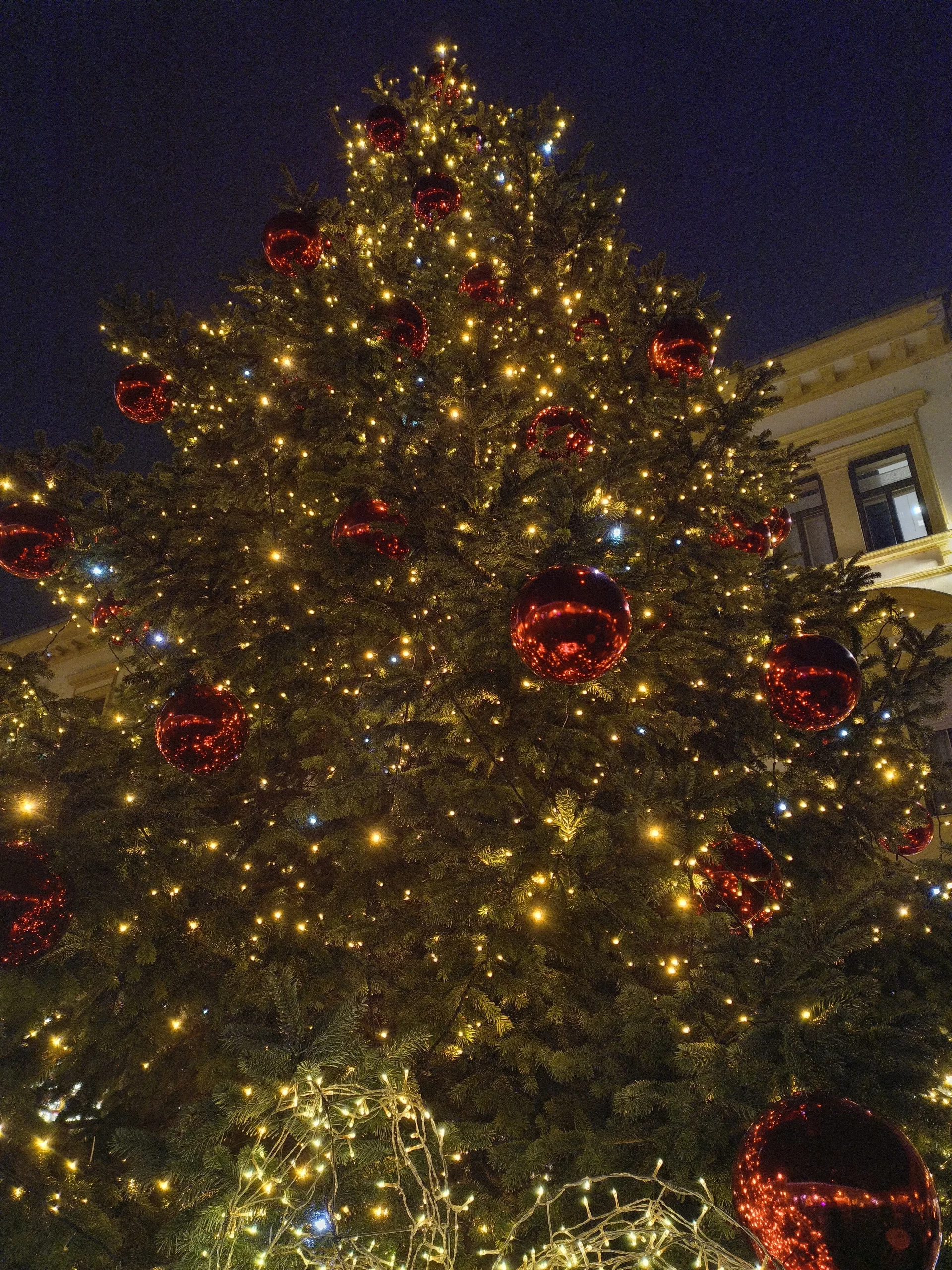 Advent Varaždin (9)