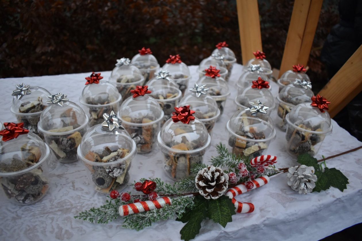 Advent u Peklenici (20)